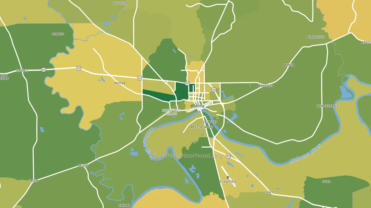 Dallas County, AL block-group voter-turnout map