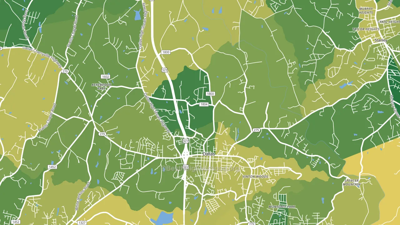 Dallas, NC block-group voter-turnout map
