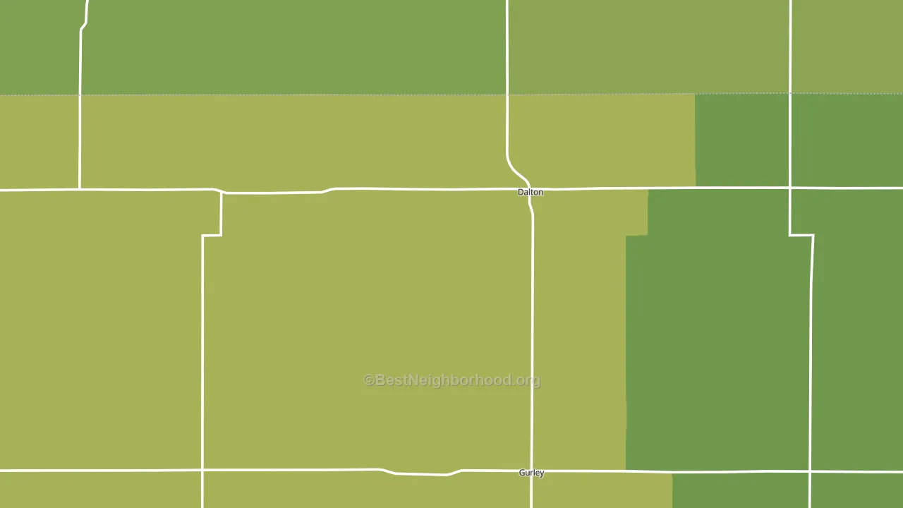 Dalton, NE block-group voter-turnout map