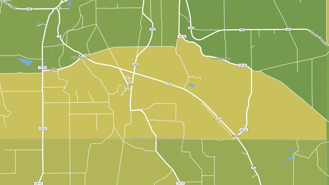 Dalton, NY block-group voter-turnout map