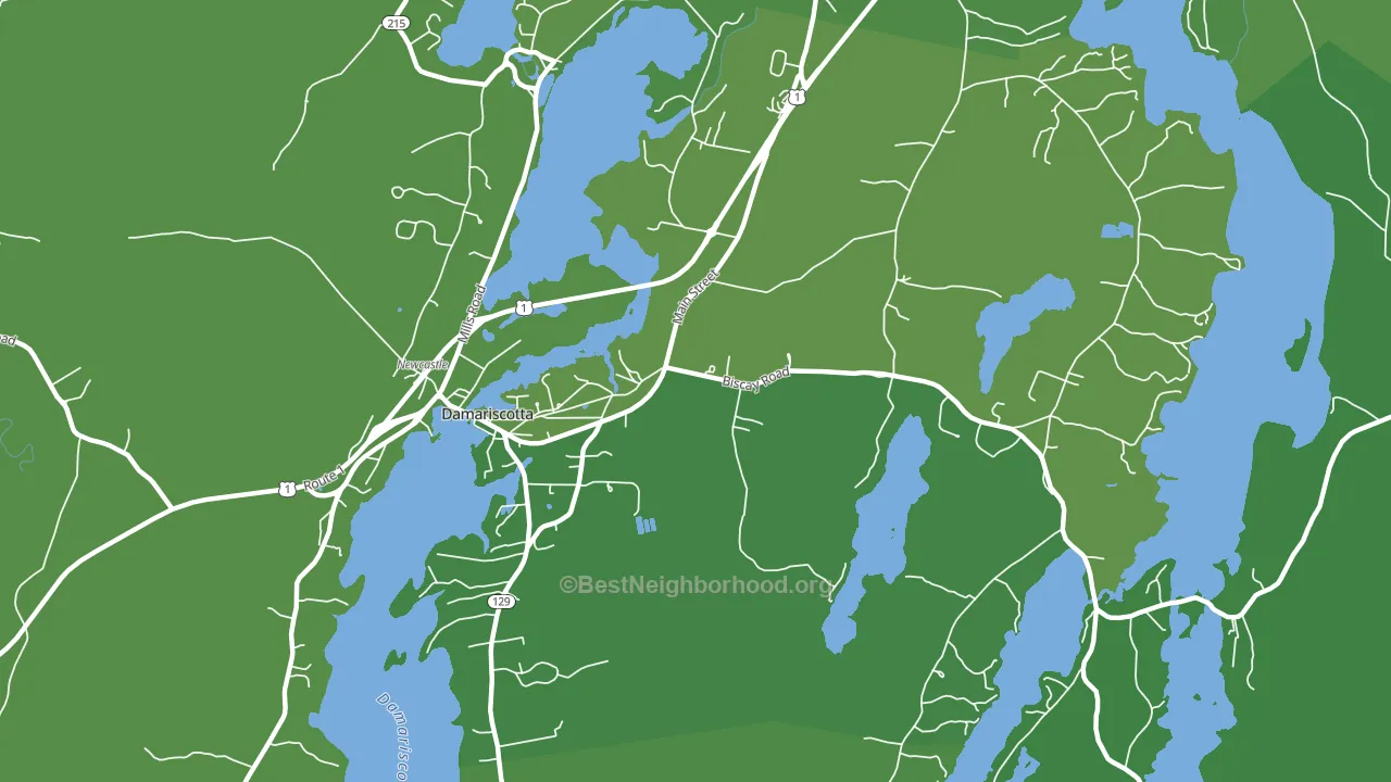 Damariscotta, ME block-group voter-turnout map