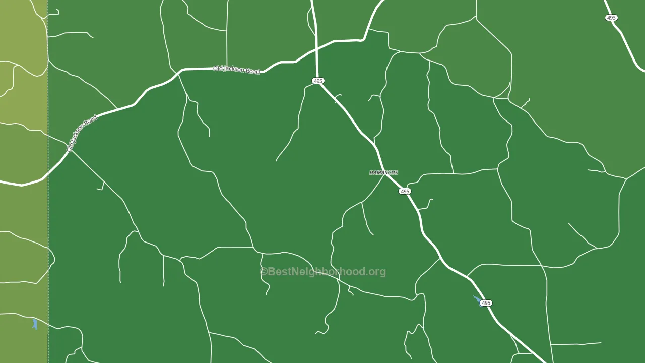 Damascus, MS block-group voter-turnout map