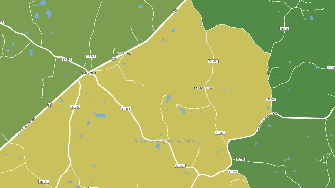 Danripple, VA block-group voter-turnout map