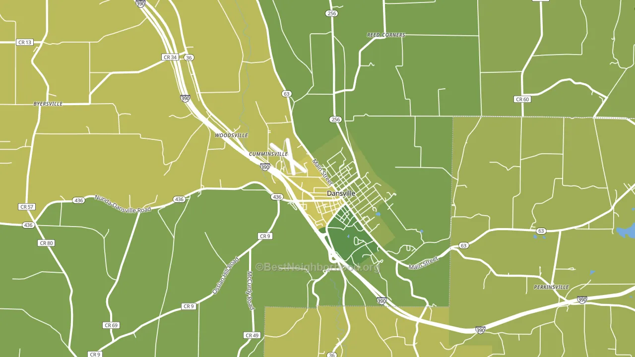 Dansville, NY block-group voter-turnout map