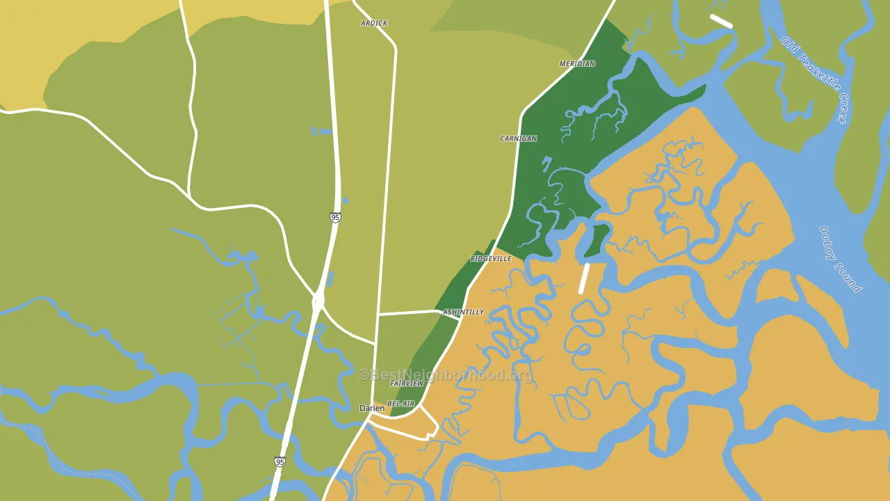 Darien, GA block-group voter-turnout map