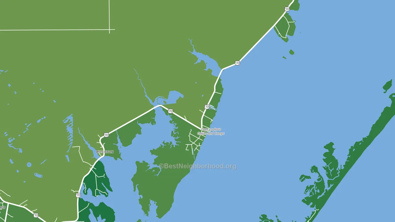 Davis, NC block-group voter-turnout map