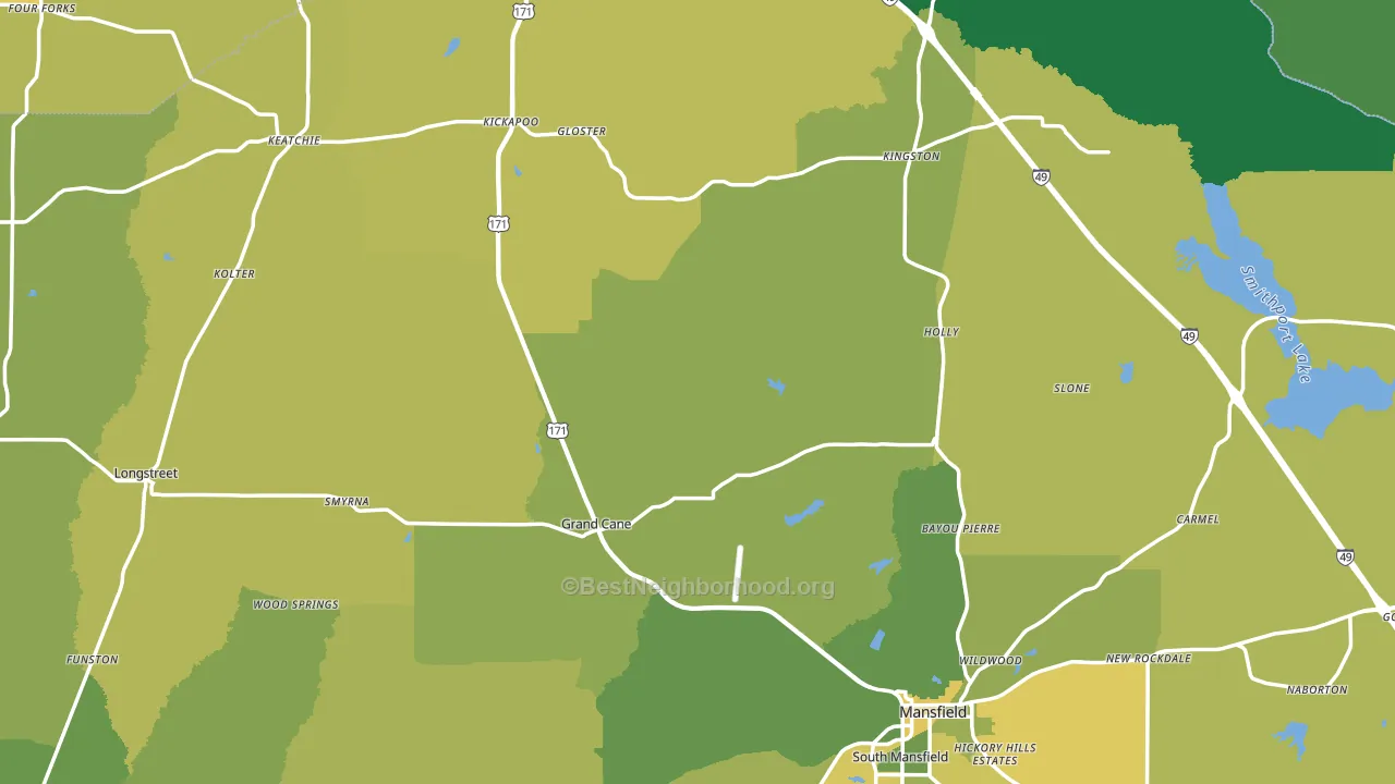 De Soto Parish, LA block-group voter-turnout map