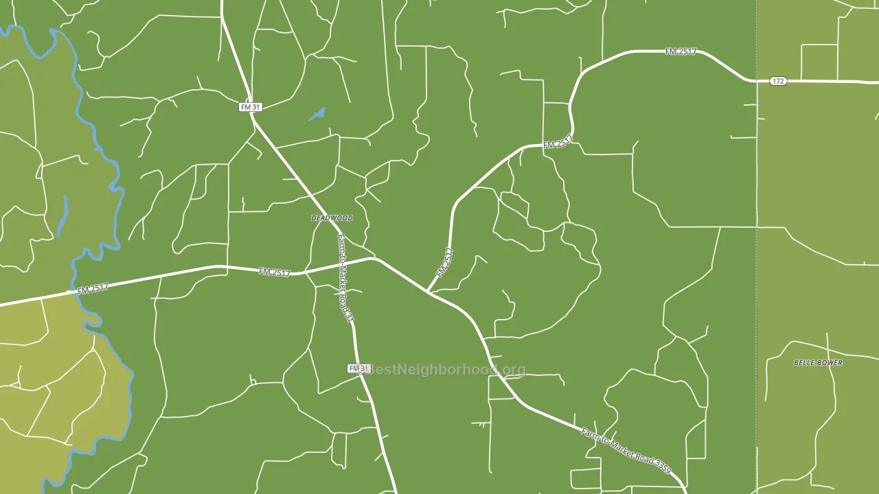 Deadwood, TX block-group voter-turnout map