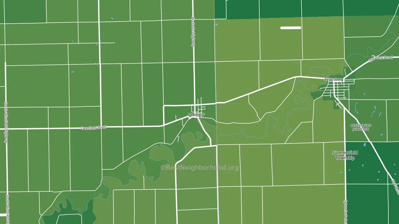Deerfield, MI block-group voter-turnout map