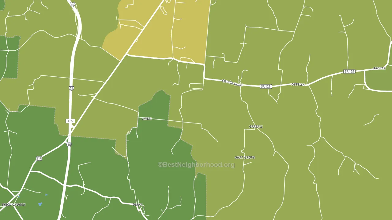 Delina, TN block-group voter-turnout map