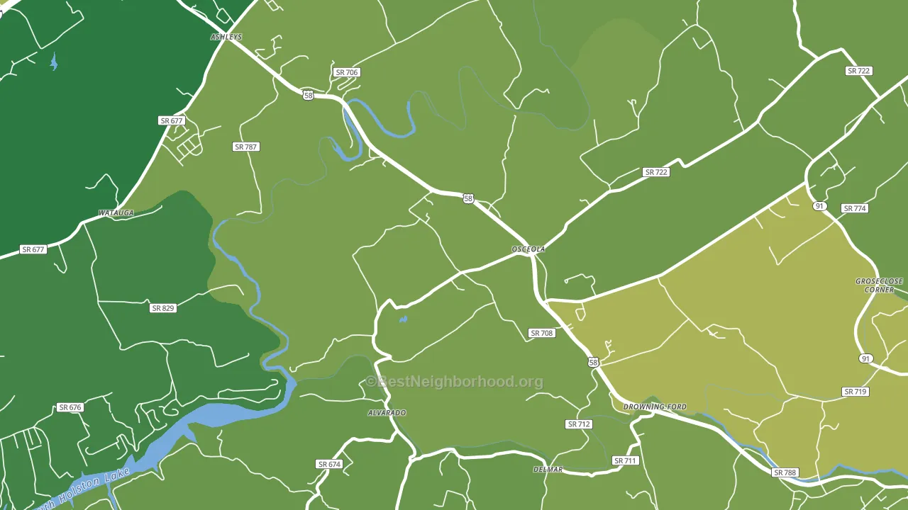 Delmar, VA block-group voter-turnout map