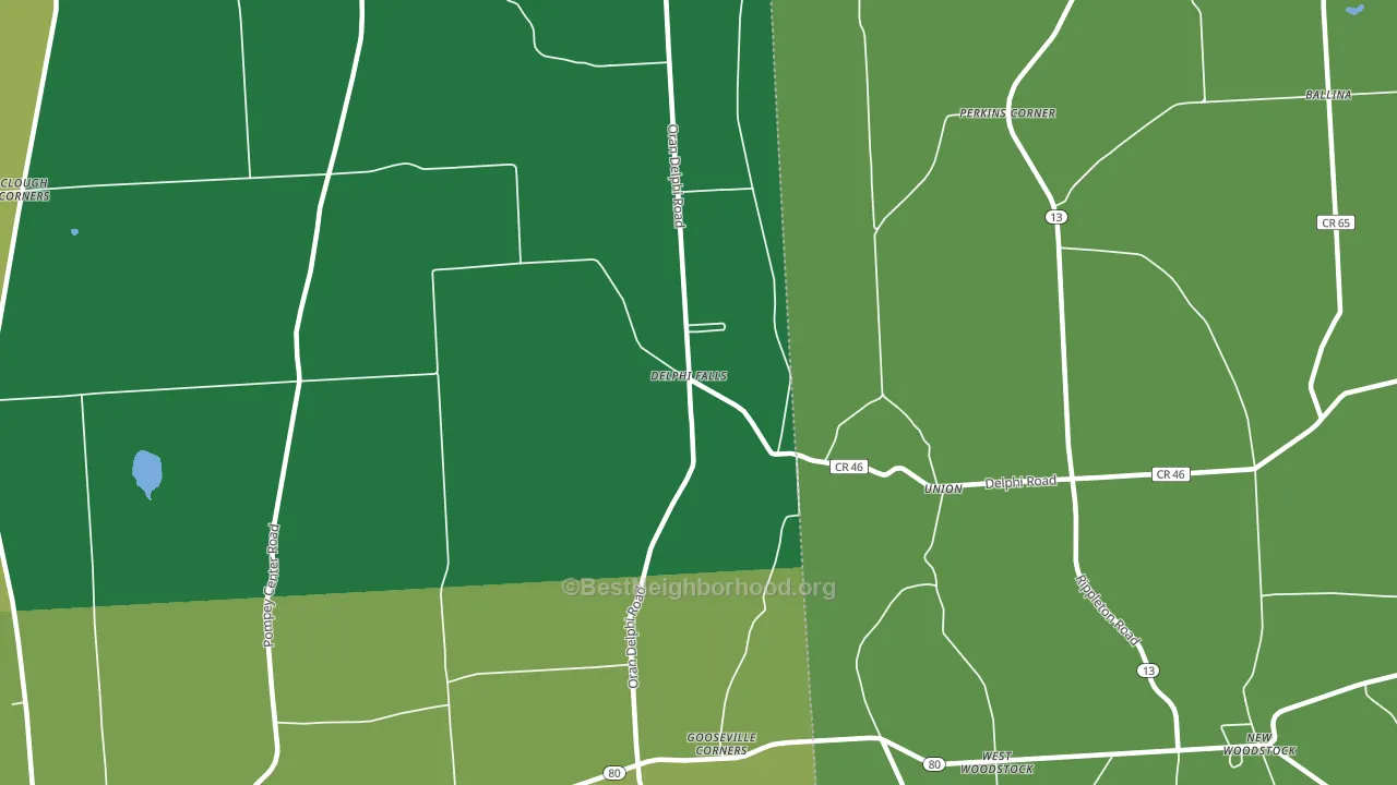 Delphi Falls, NY block-group voter-turnout map