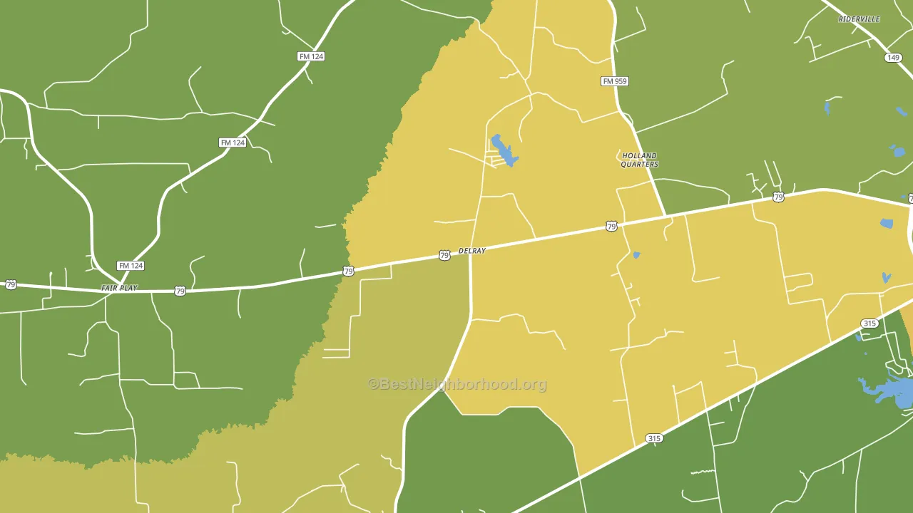 Delray, TX block-group voter-turnout map