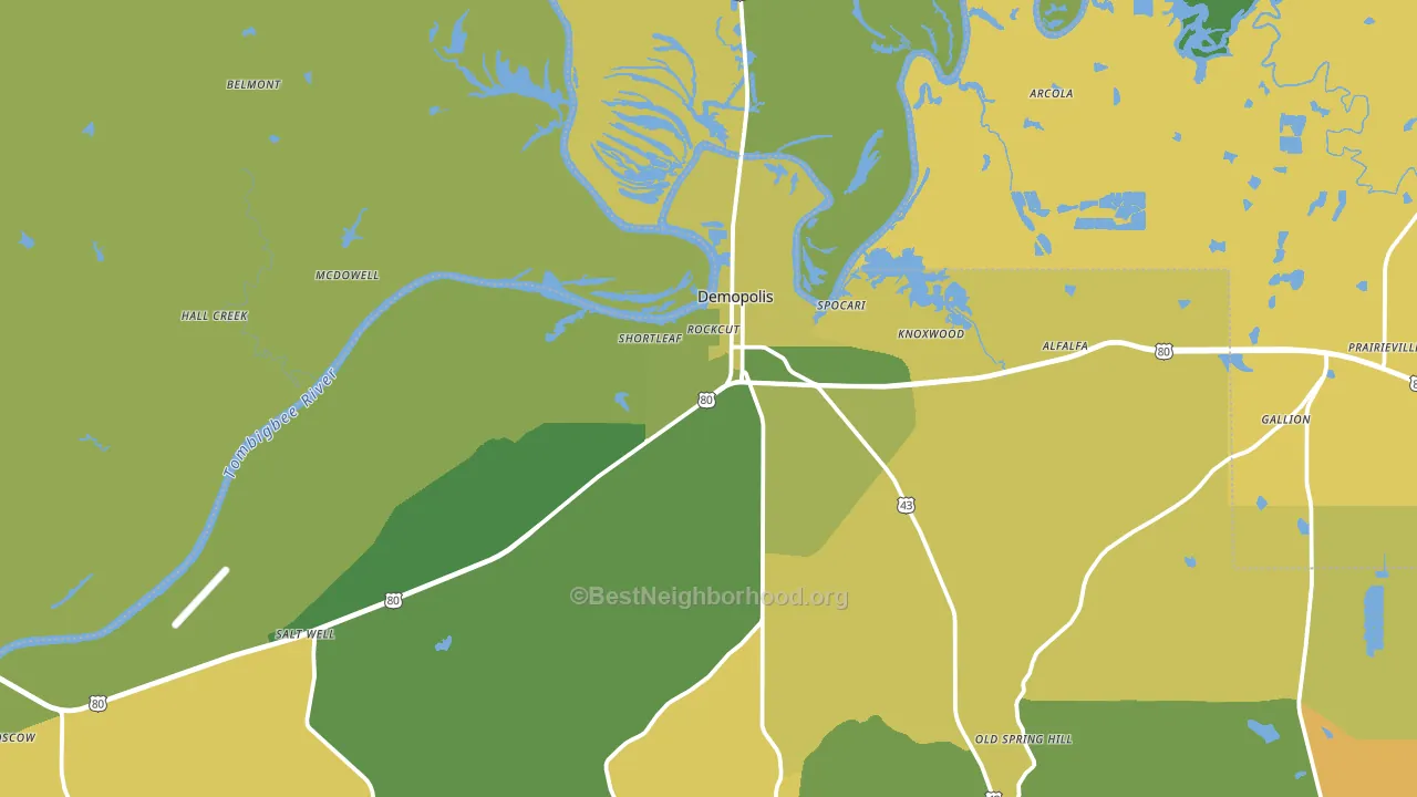 Demopolis, AL block-group voter-turnout map