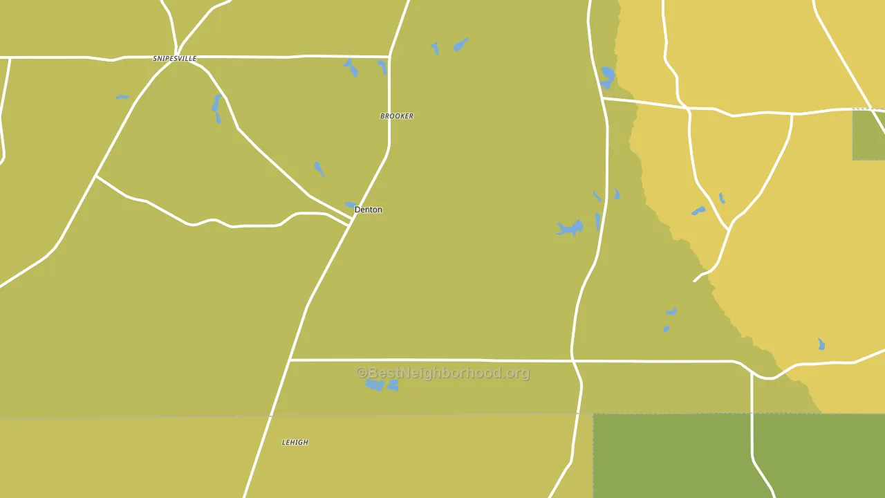 Denton, GA block-group voter-turnout map