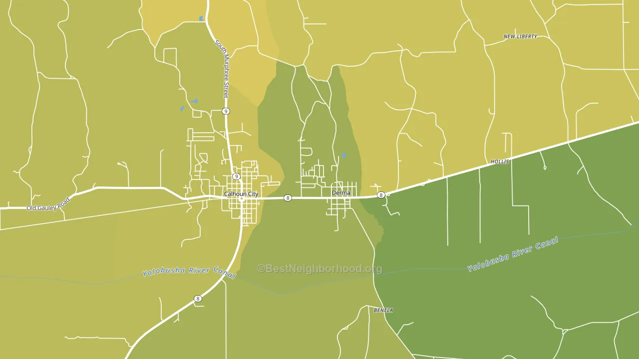 Derma, MS block-group voter-turnout map