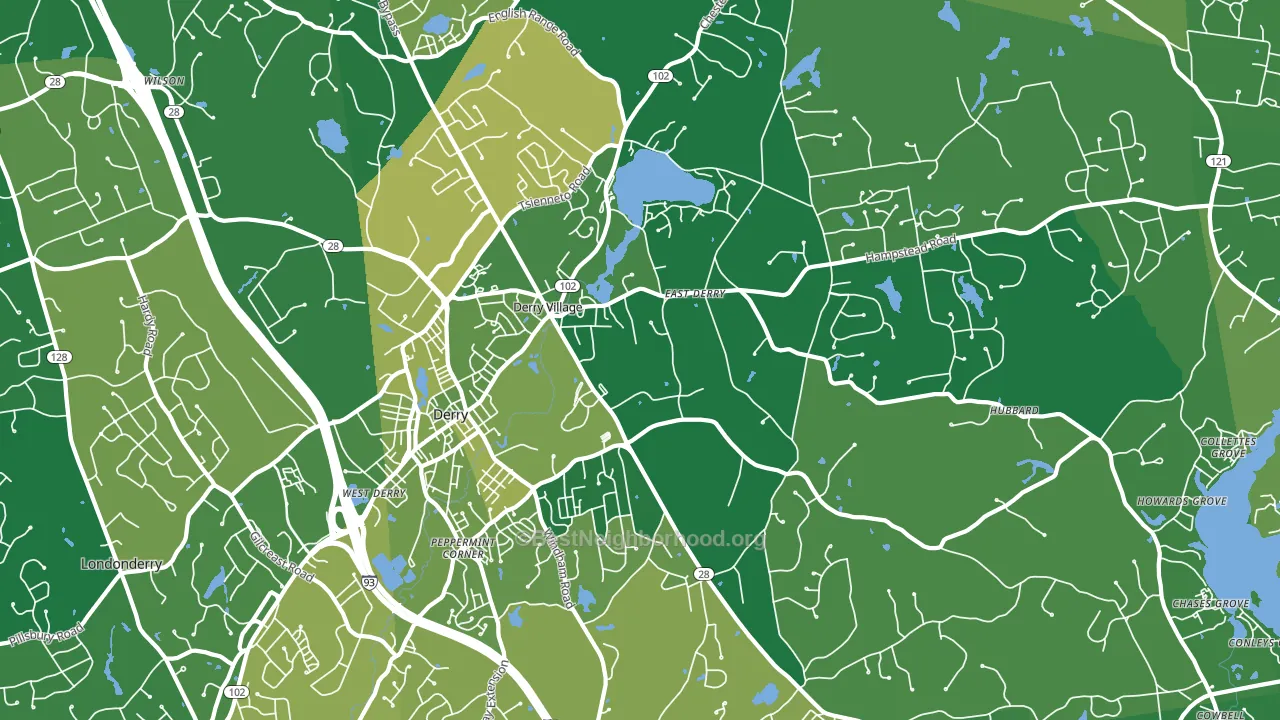 Derry, NH block-group voter-turnout map