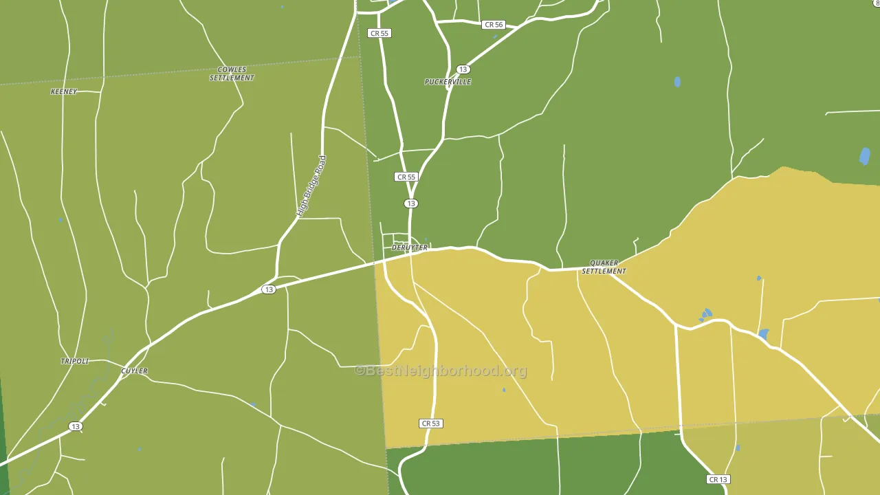 DeRuyter, NY block-group voter-turnout map
