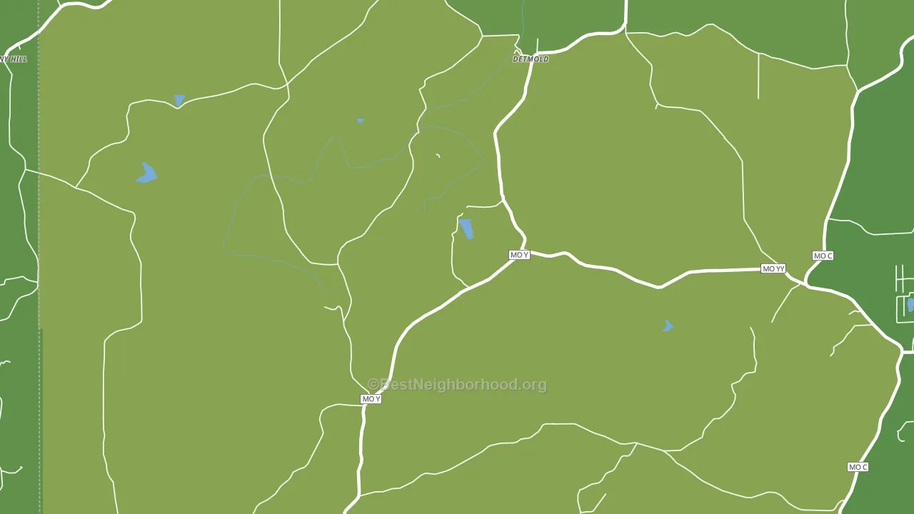Detmold, MO block-group voter-turnout map