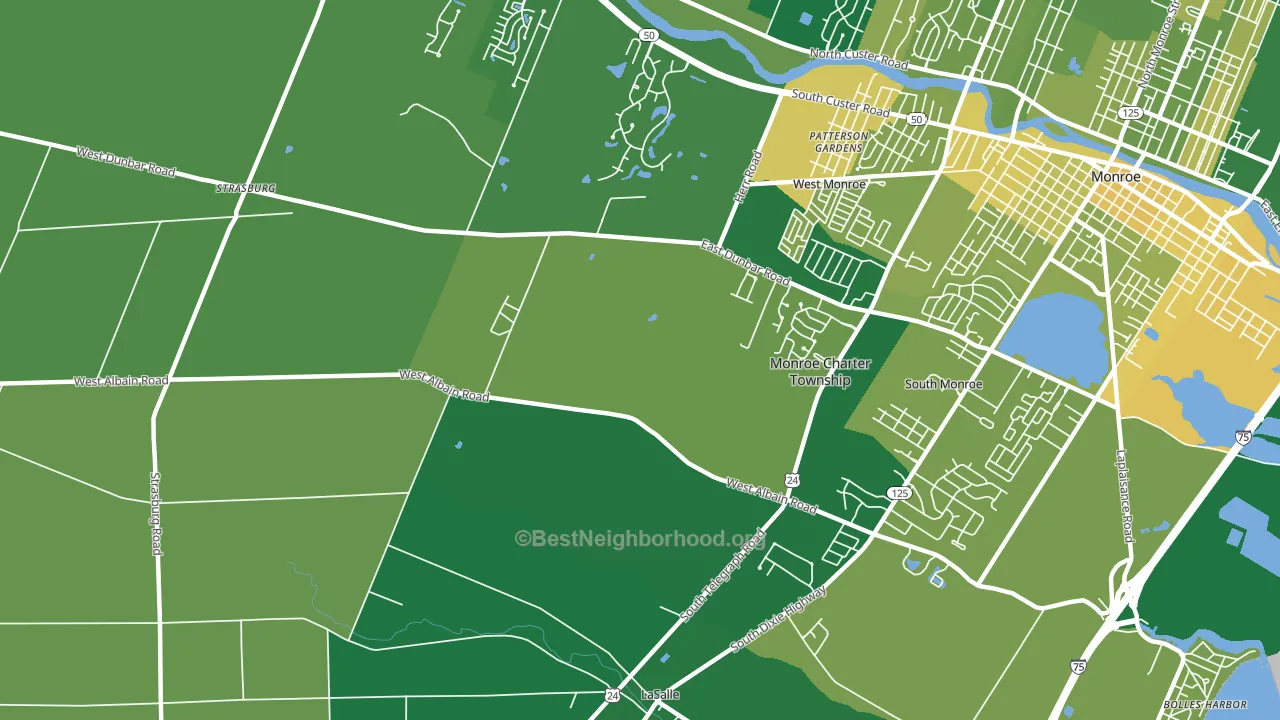 Detroit Beach, MI block-group voter-turnout map