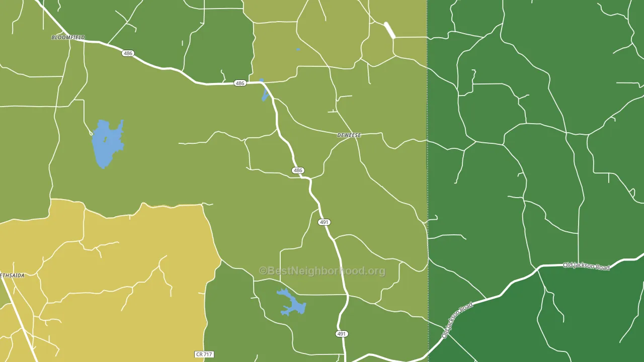 DeWeese, MS block-group voter-turnout map