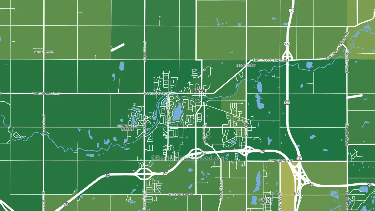 Dewitt, MI block-group voter-turnout map