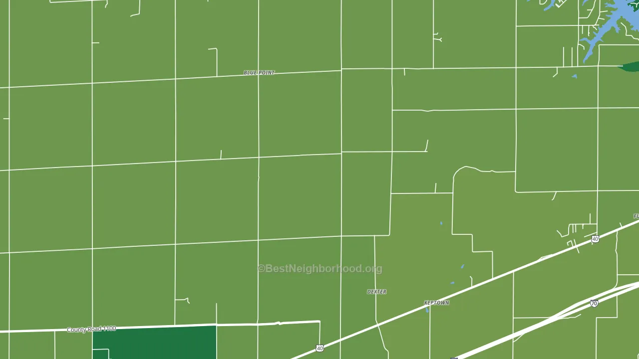 Dexter, IL block-group voter-turnout map
