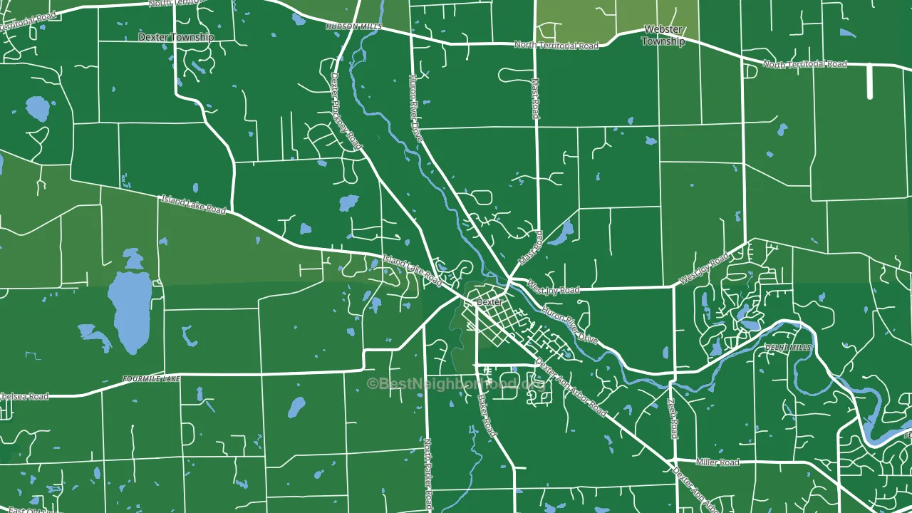 Dexter, MI block-group voter-turnout map