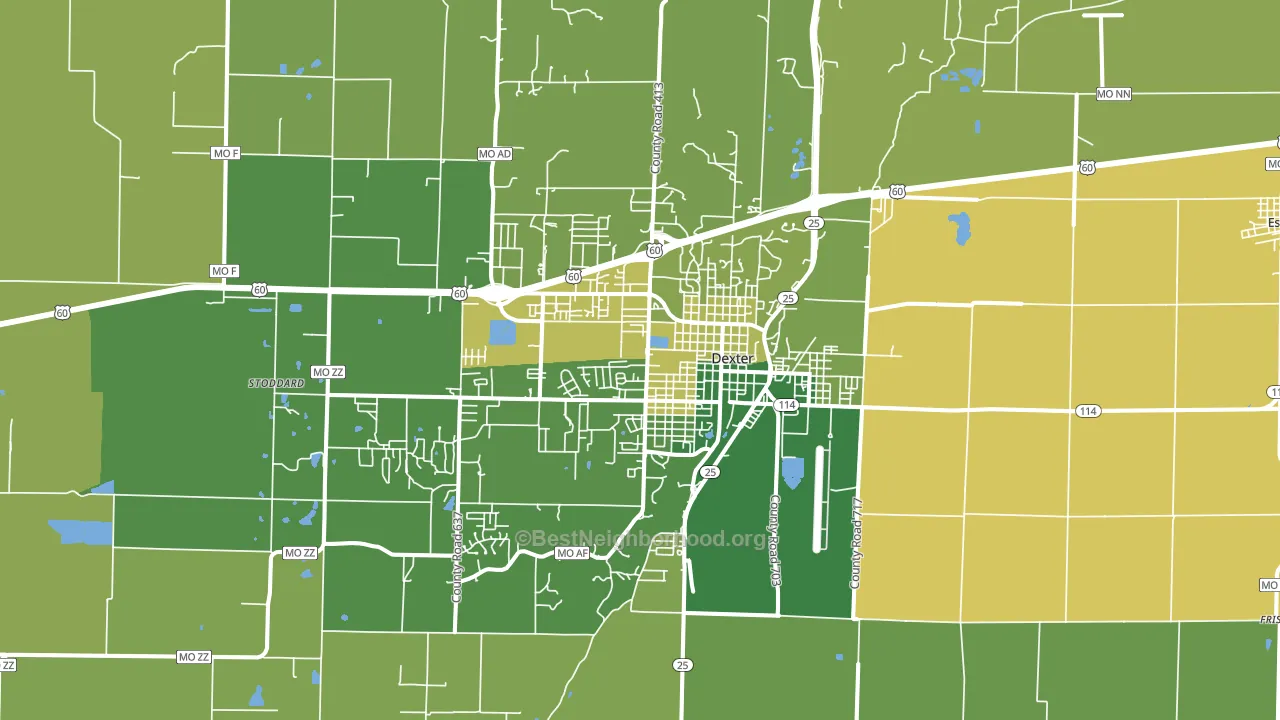 Dexter, MO block-group voter-turnout map