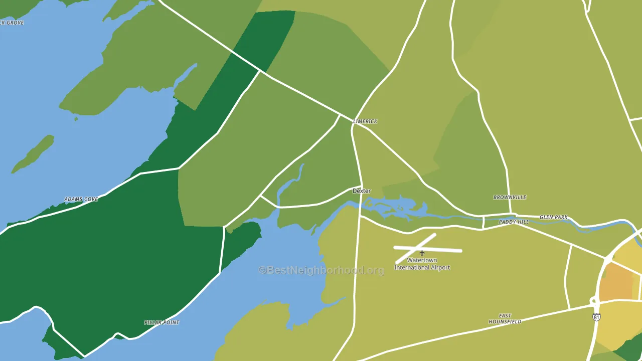 Dexter, NY block-group voter-turnout map