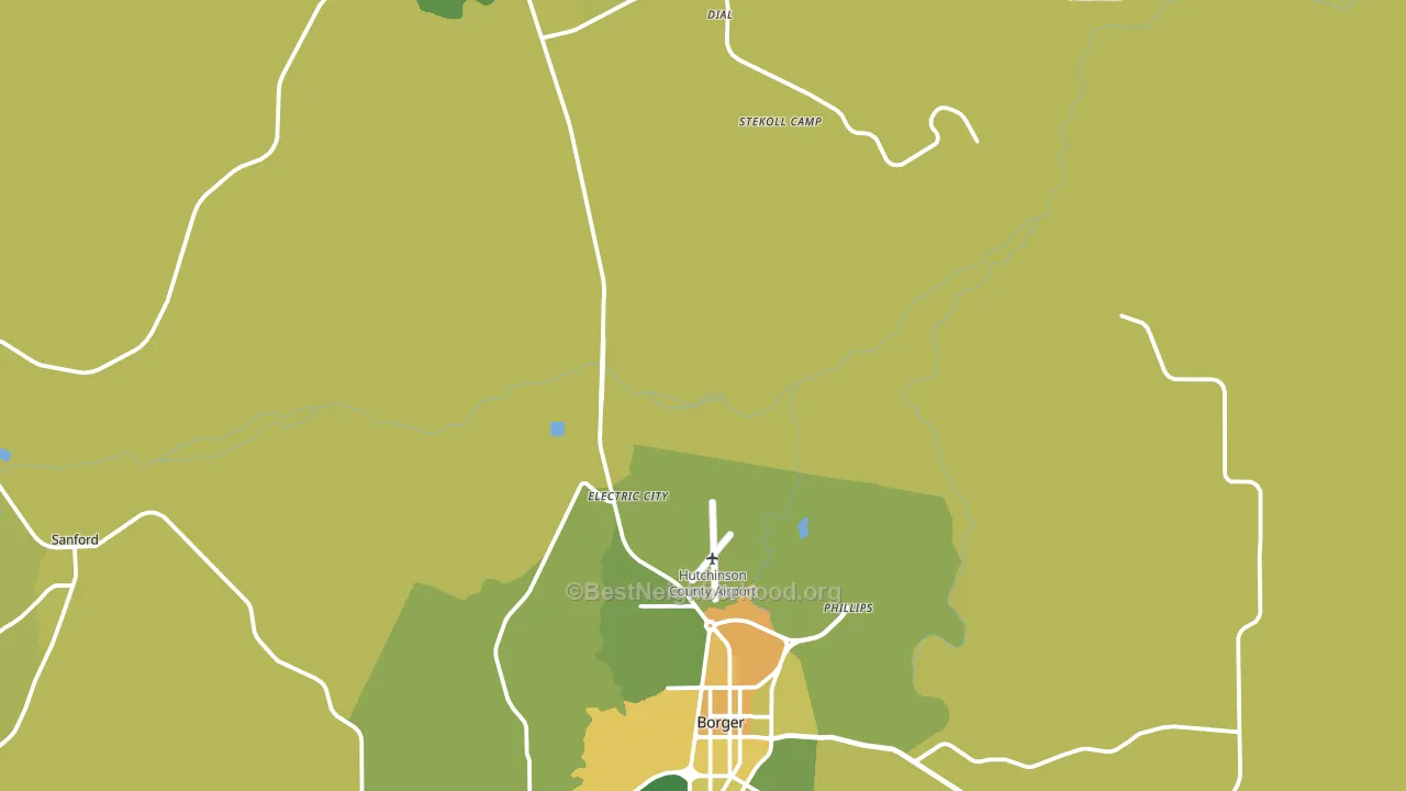 Dial, TX block-group voter-turnout map