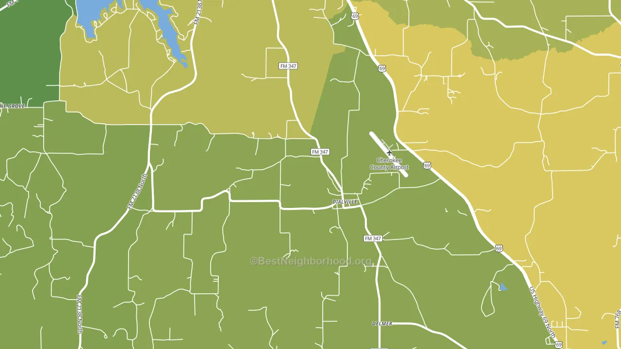 Dialville, TX block-group voter-turnout map