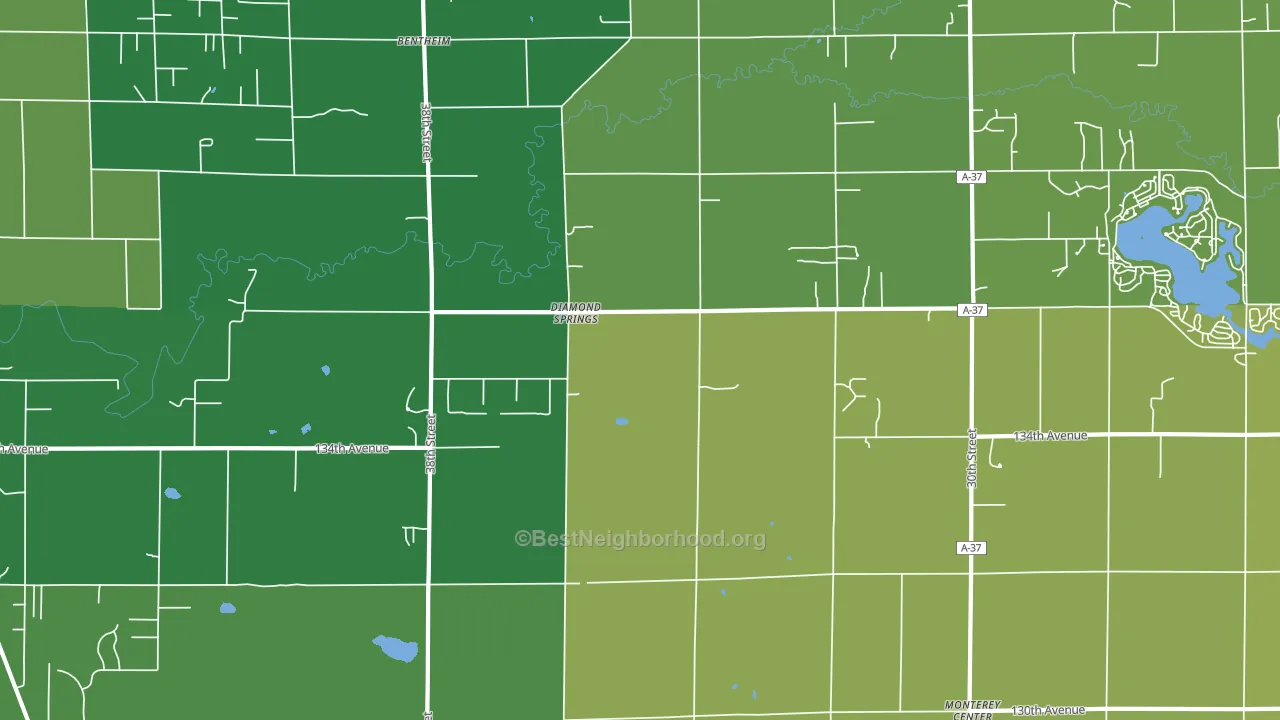 Diamond Springs, MI block-group voter-turnout map
