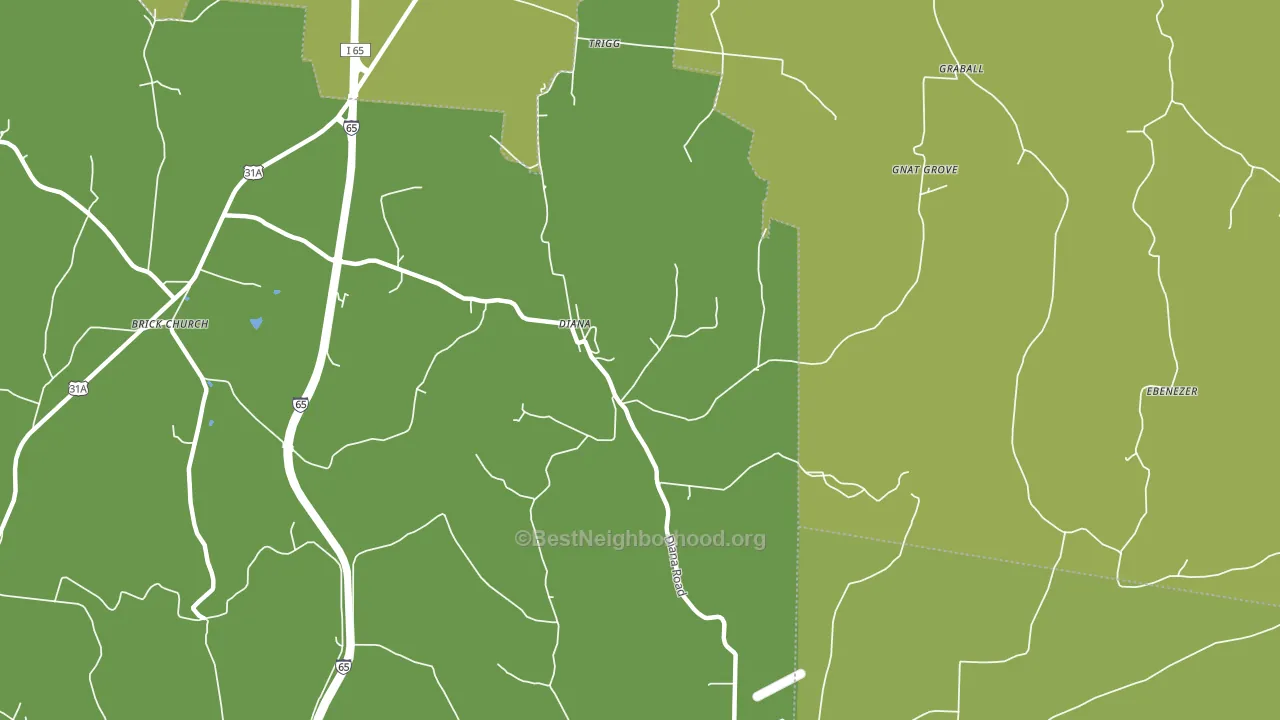 Diana, TN block-group voter-turnout map