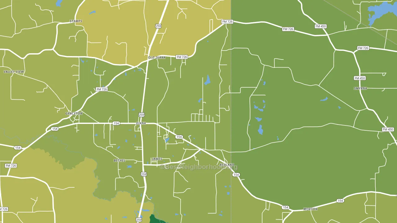 Diana, TX block-group voter-turnout map