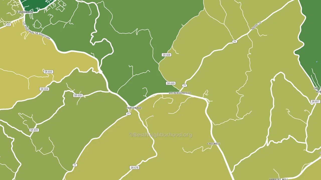Dickensonville, VA block-group voter-turnout map
