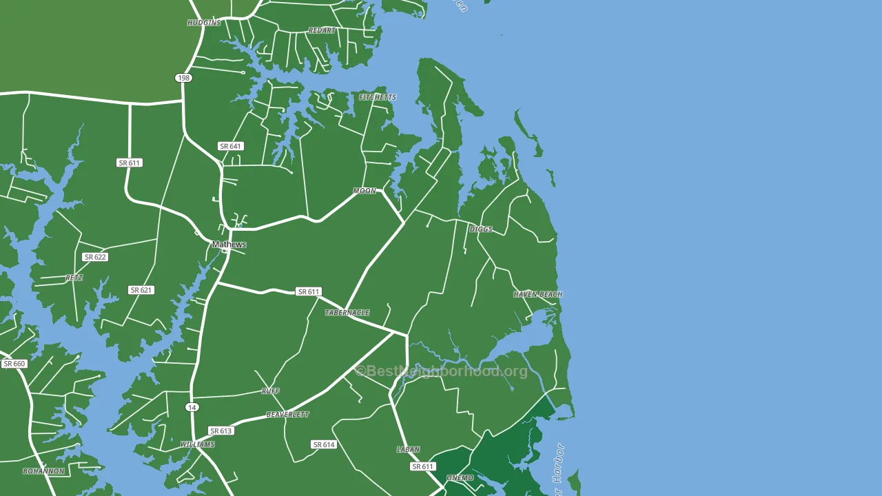 Diggs, VA block-group voter-turnout map