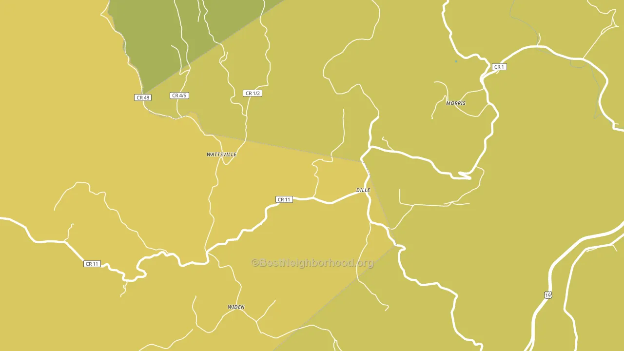 Dille, WV block-group voter-turnout map