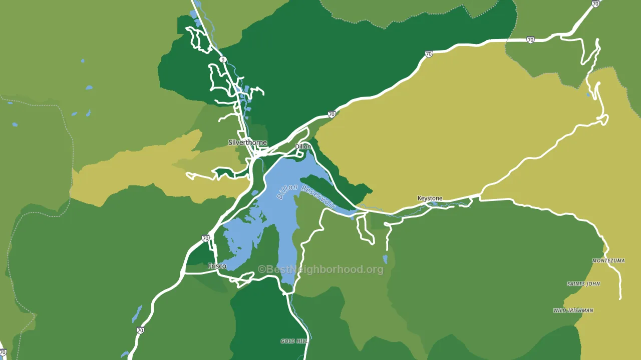 Dillon, CO block-group voter-turnout map