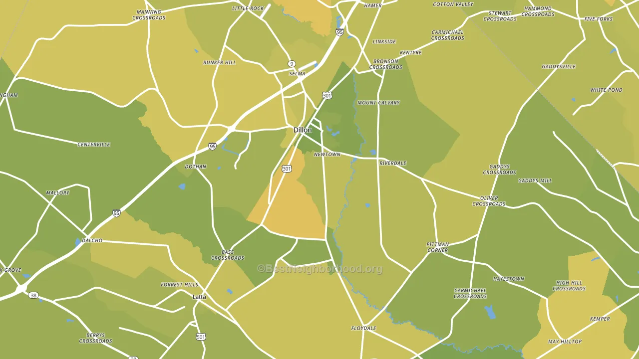 Dillon County, SC block-group voter-turnout map
