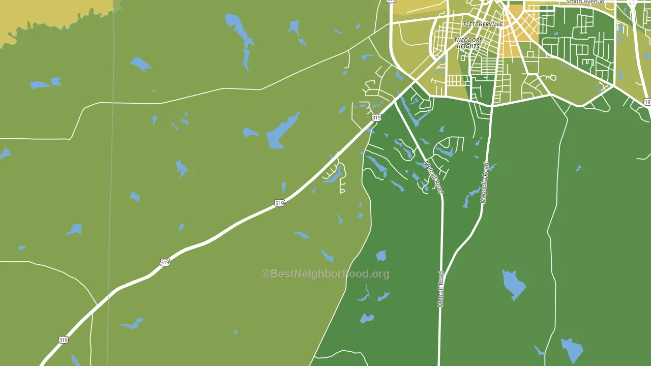 Dillon, GA block-group voter-turnout map