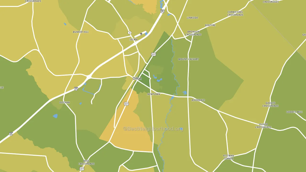 Dillon, SC block-group voter-turnout map
