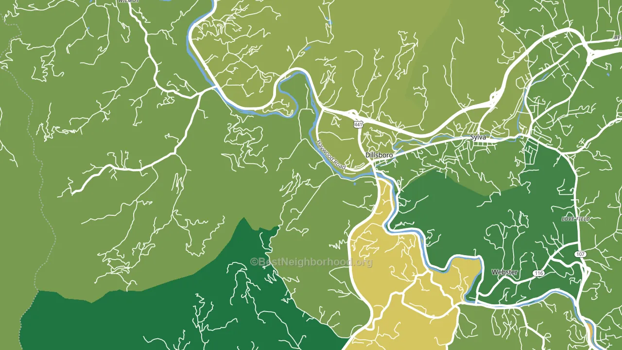 Dillsboro, NC block-group voter-turnout map