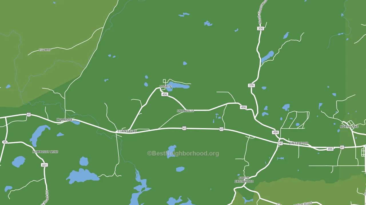 Diorite, MI block-group voter-turnout map