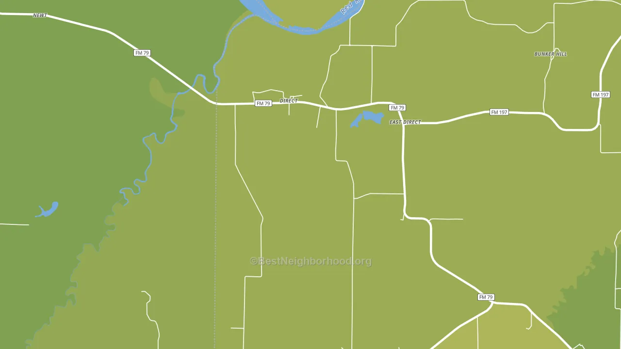 Direct, TX block-group voter-turnout map