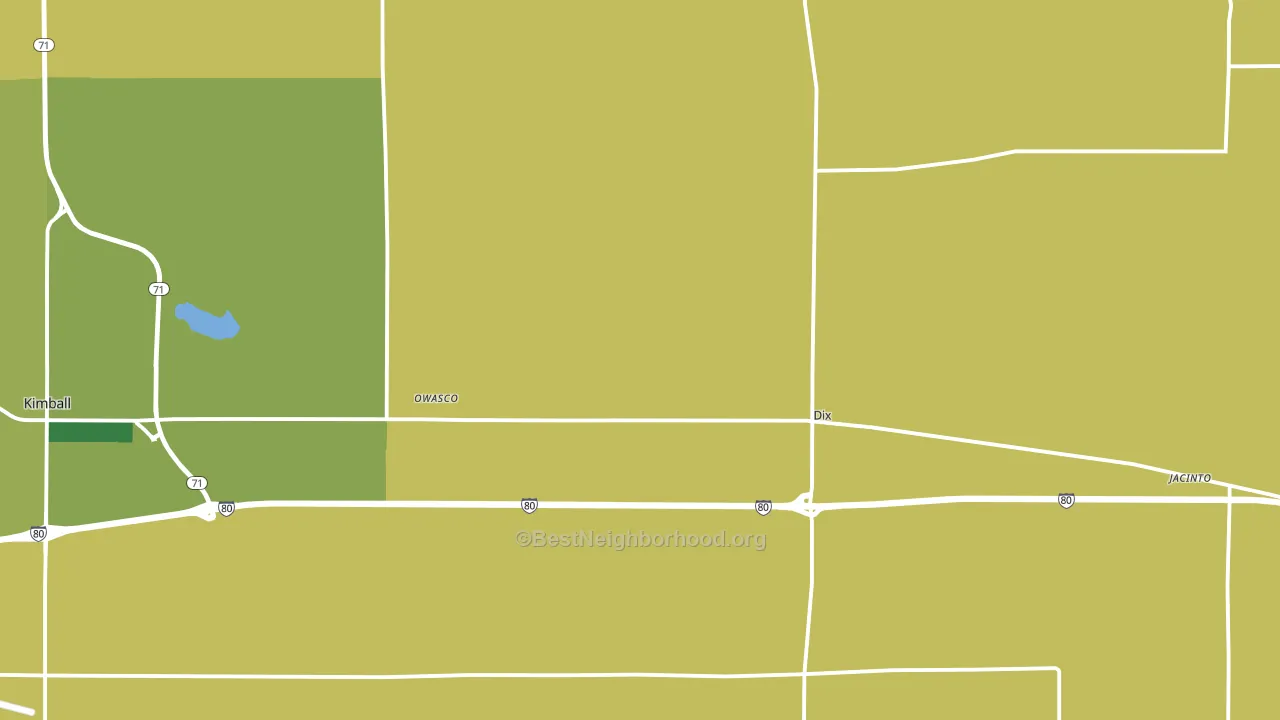 Dix, NE block-group voter-turnout map