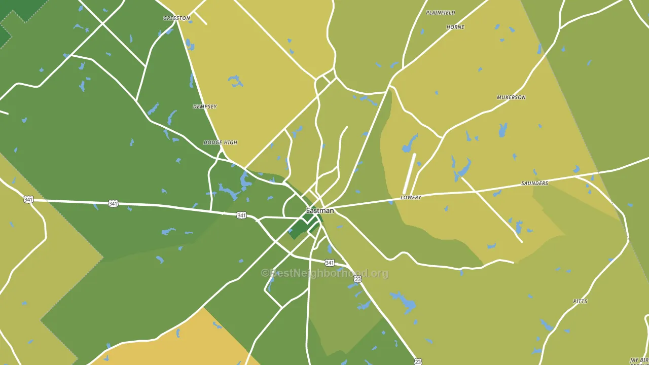 Dodge County, GA block-group voter-turnout map