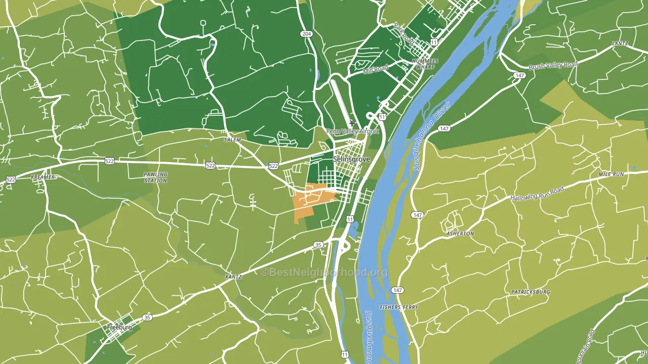Dogtown, Selinsgrove, PA block-group voter-turnout map