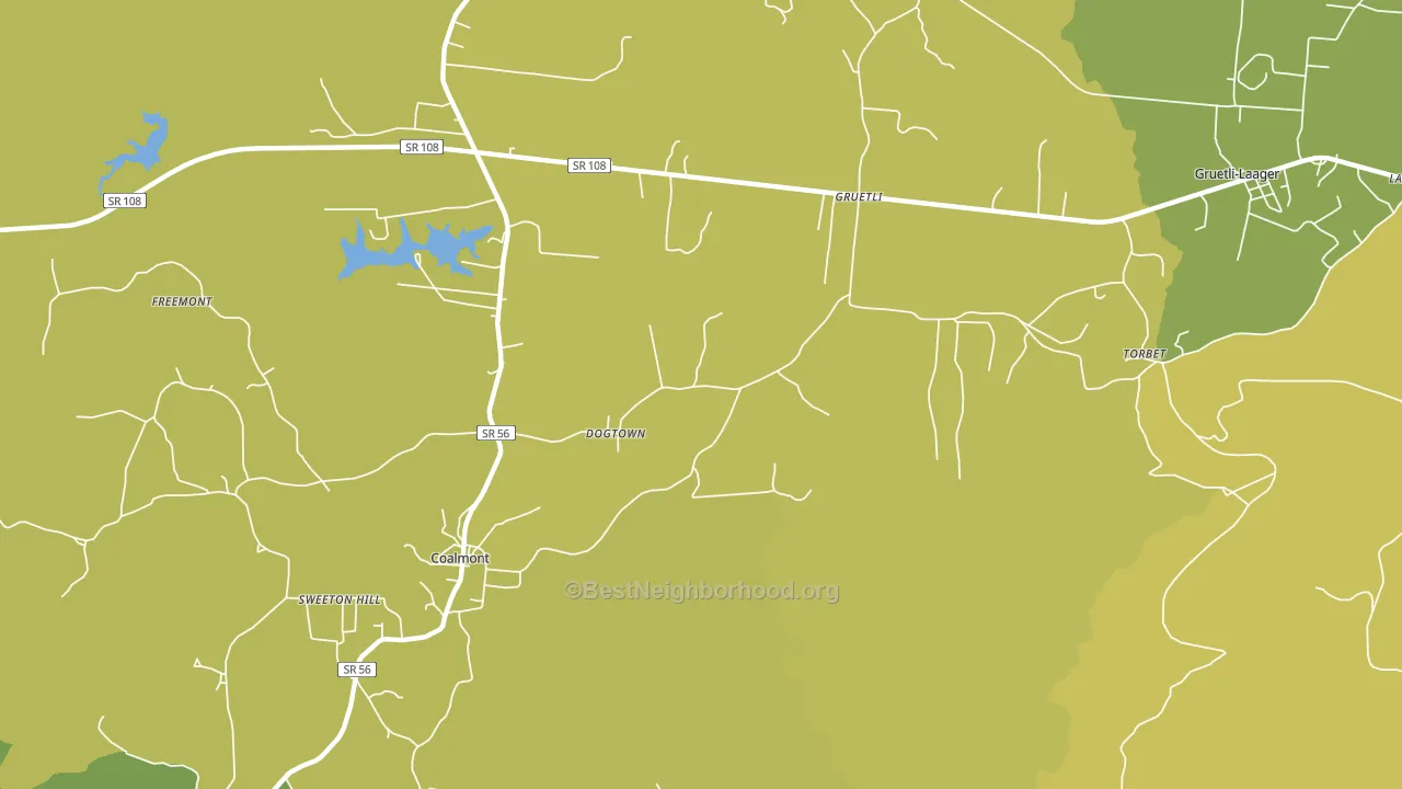 Dogtown, TN block-group voter-turnout map
