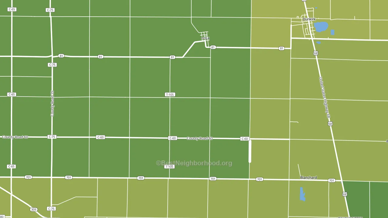 Dola, OH block-group voter-turnout map